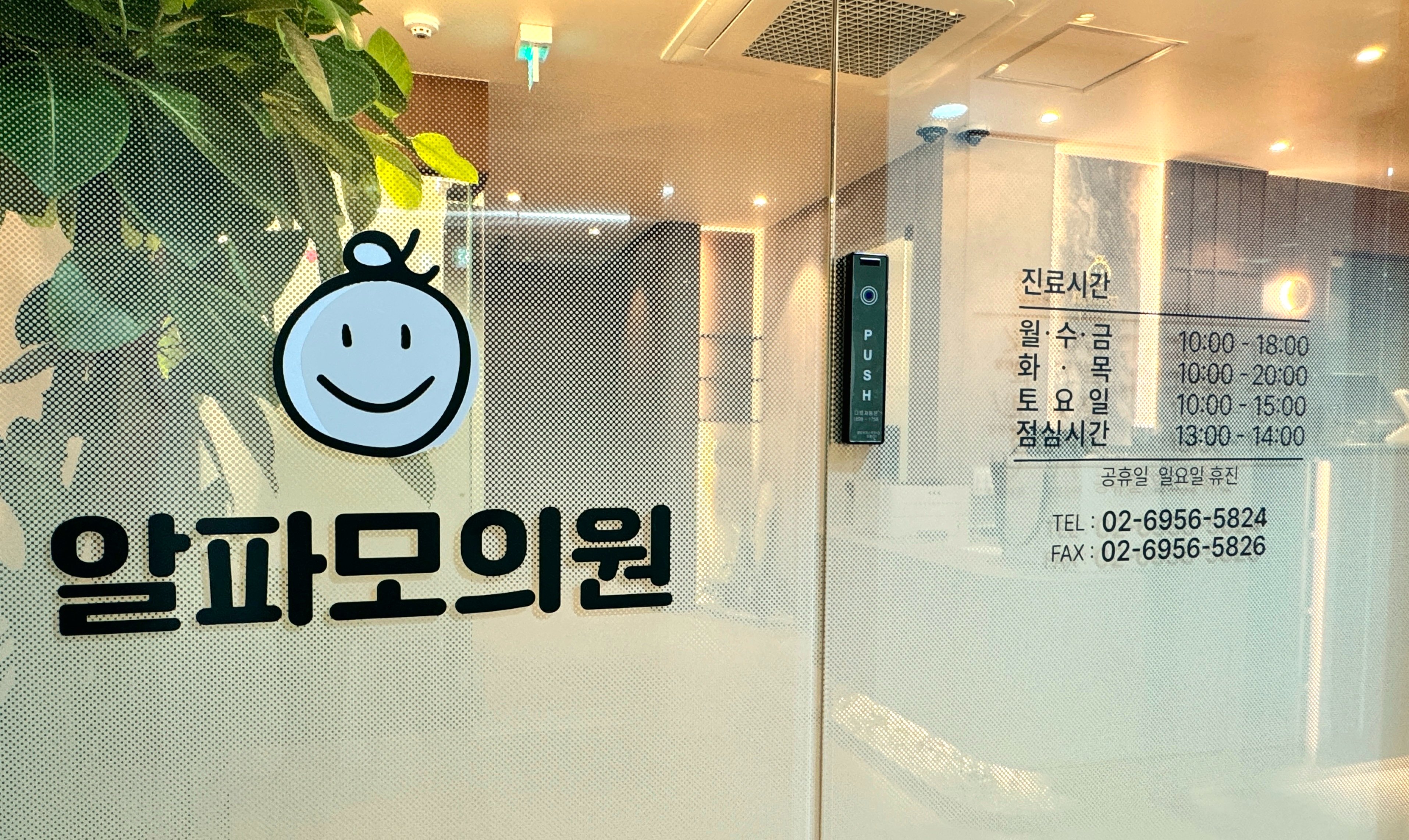 신논현 모발이식 잘하는 병원